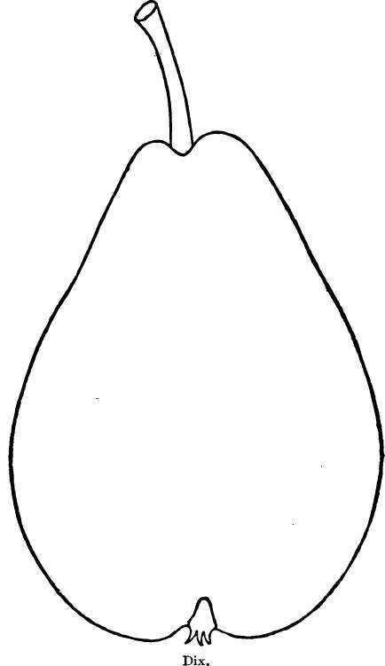 Pear: Dix