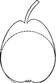 Pear: Globular, obtuse pyriform