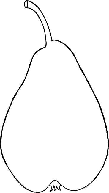 Pear: Louise Bonne de Jersey
