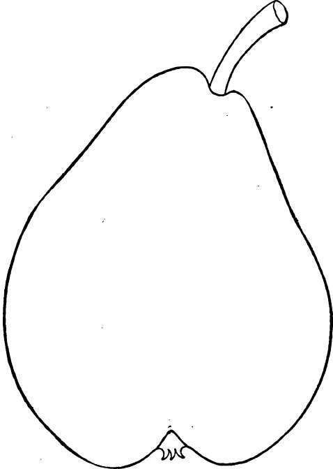 Pear: Onondaga
