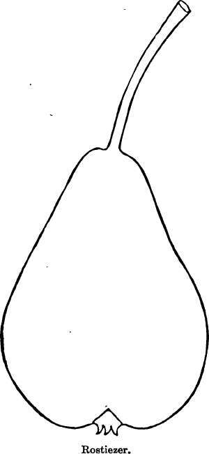Pear: Rostiezer