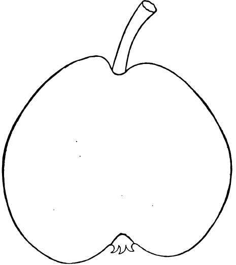 Pear: Sheldon
