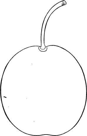 Plum: Jefferson