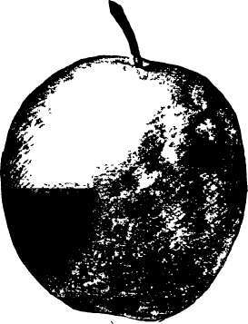 Plum: Pride