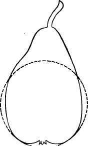 The Pear 180