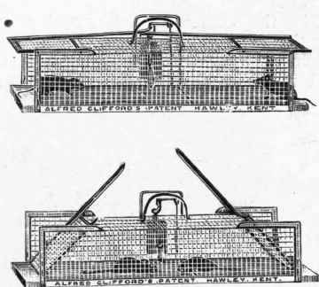Alfred Clifford's Patent Trap.