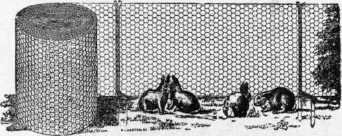 Boulton & Paul's Galvanized Wire netting.