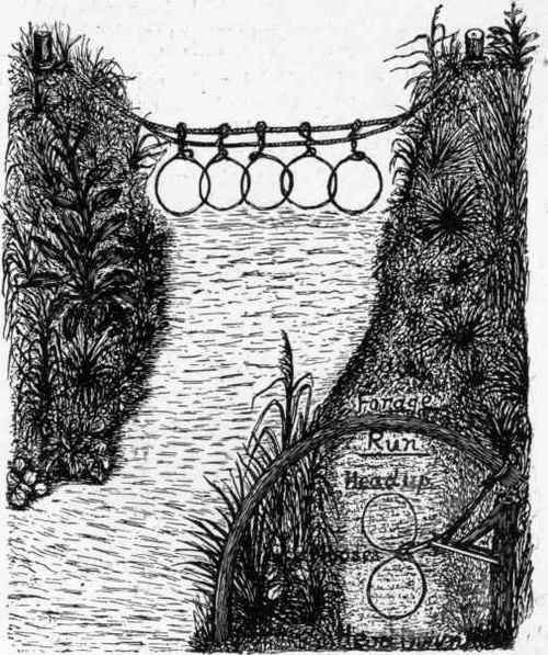 Capturing Wild Ducks in Nooses.