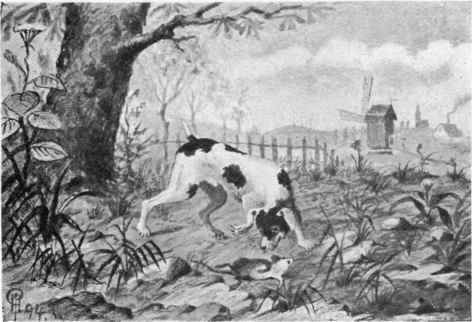 English Terrier and Rat.