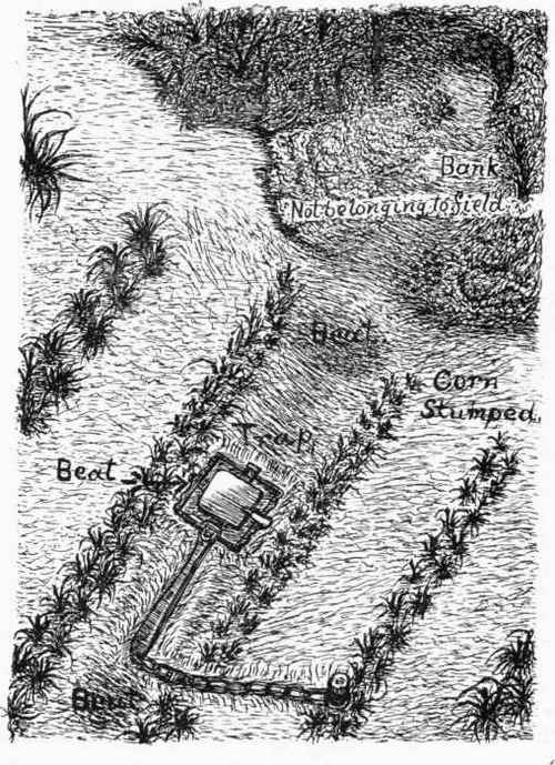 Lane's Registered Dorset Rabbit Trap set in Corn for Rabbit.