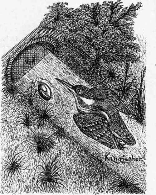 Netting Birds at a Bridge.