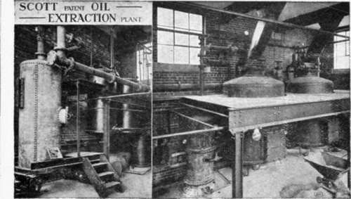 Oil Extraction