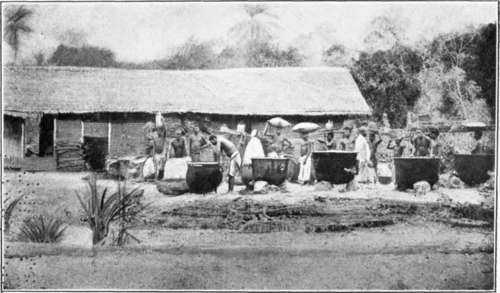 The Native Preparation of Palm Oil in the Congo