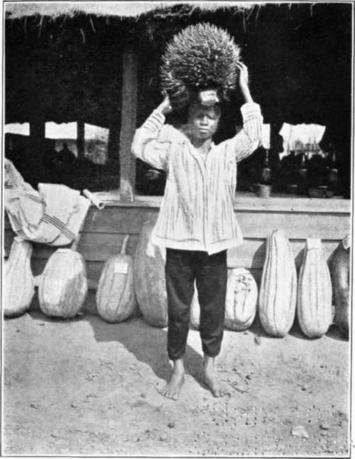 West African native bringing the palm fruit into store (illustrating the cone)