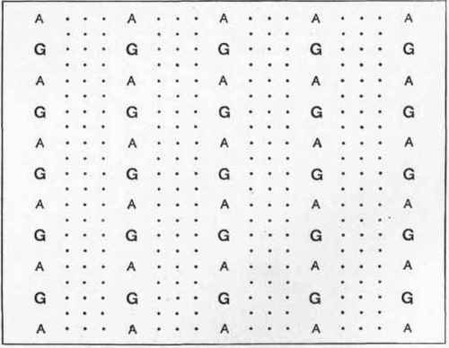 Arrangement of Apple Trees, with Gooseberry Bushes, etc, between.