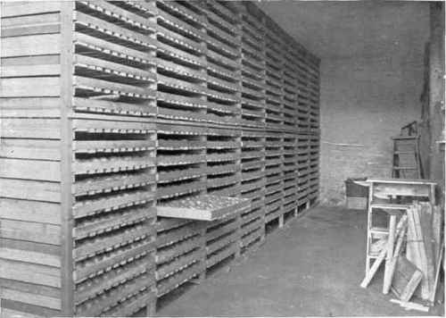 FRUIT ROOM WITH APPLES STORED IN WOODEN TRAYS.