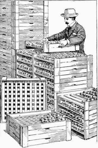 Fig. 337.  Orr's Storing Trays for Apples, etc.
