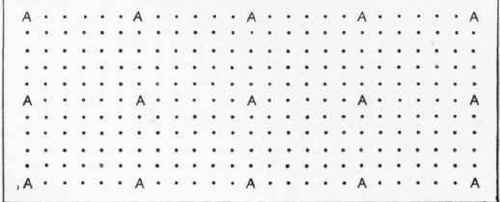 Standard Apples 18 ft. apart, with under crop of Rhubarb.