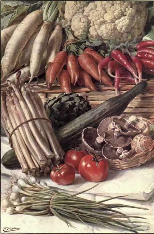 SOME FAMILIAR VEGETABLES.