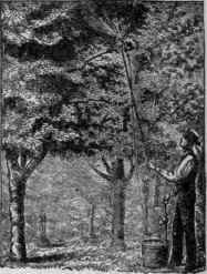A bucket pump.