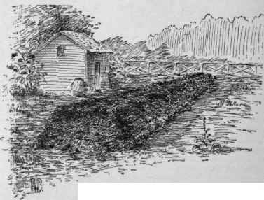 A compost heap.