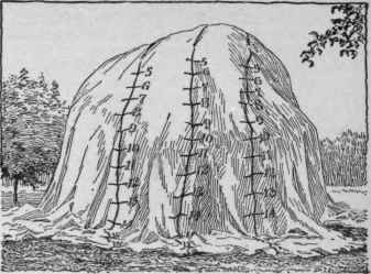 A fumigating tent (Morrill system).