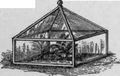 Propagating box or hood.