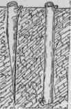 Short cuttings of ripened wood.