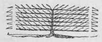 Culture Of Wall Trees 132