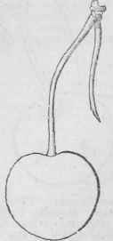 Plum Stone Morello Thomp 27