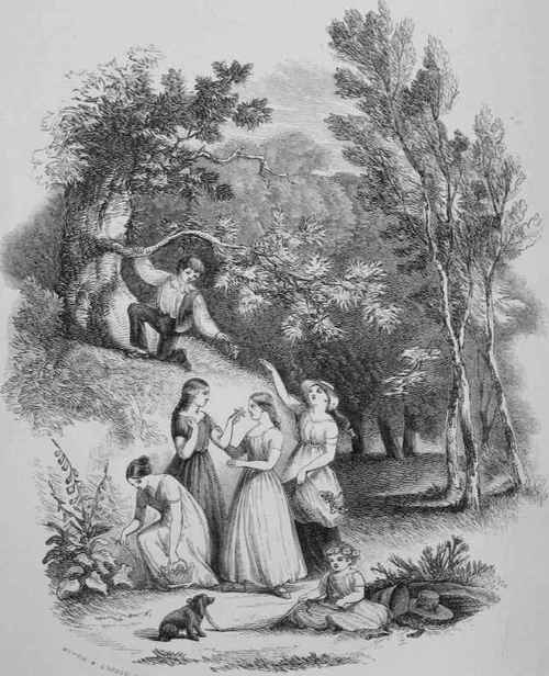 The Florist Prefatory Observations 1849002