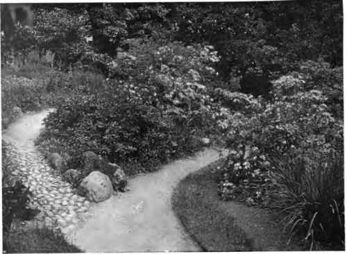 A glimpse of the rock garden at the home of Professor Charles Sprague Sargent.