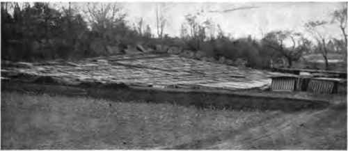 A market gardener's lay out of glass (Near New York City).
