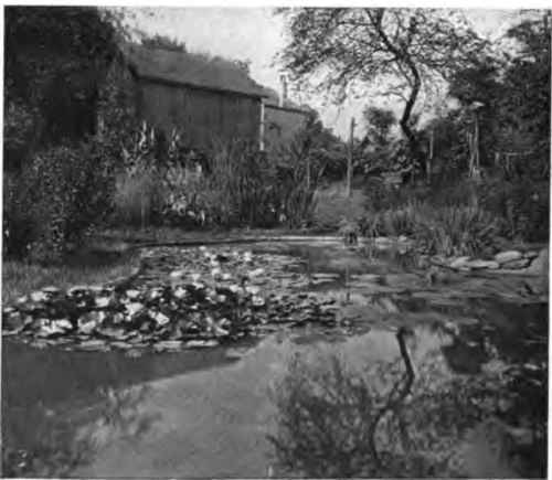 A small water lily pond in a suburban yard at Bond Hill, near Cincinnati.