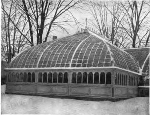 A snug little greenhouse where green things grow and flowers bloom.