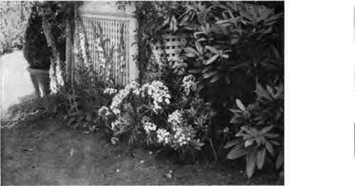 An effective border planting against an office building.