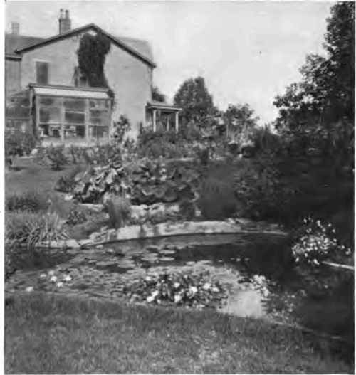 Another view of the same pond.