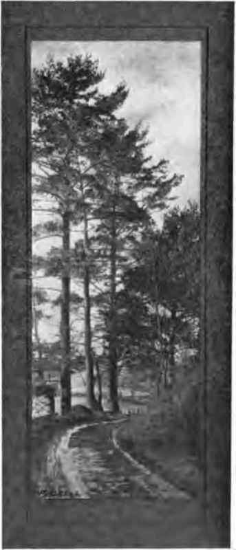 No winter scene is perfect without the evergreens.