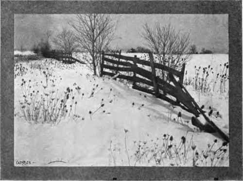 The fences protrude from a waste of drift and riffle.