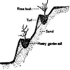 VI A Rose Bank 211