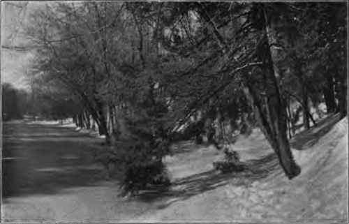 The low, snow covered meadow that looks like a crystal, lake