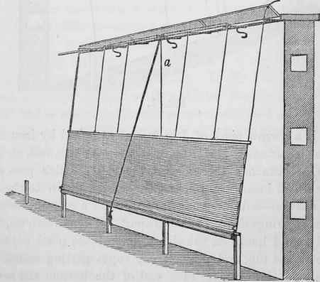 Protection For Wall Fruit Trees 4004