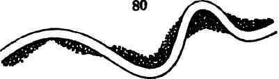 Drainage Map 79