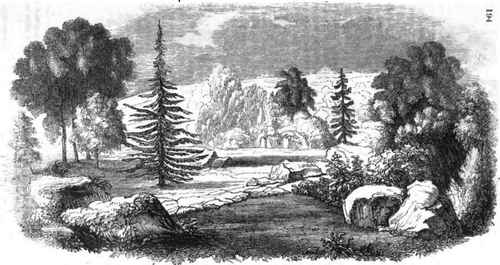 Entrance to the Rocky Lann from the English Flower Garden