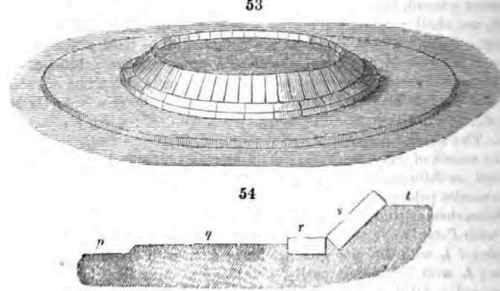 Planting With Bulble To Be Succeeded By Half H 51