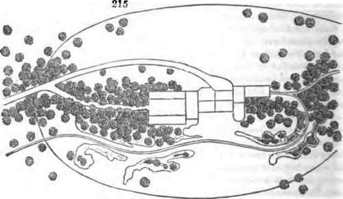  Situation Of The Offices 211