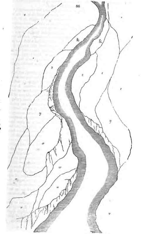 Trees 82
