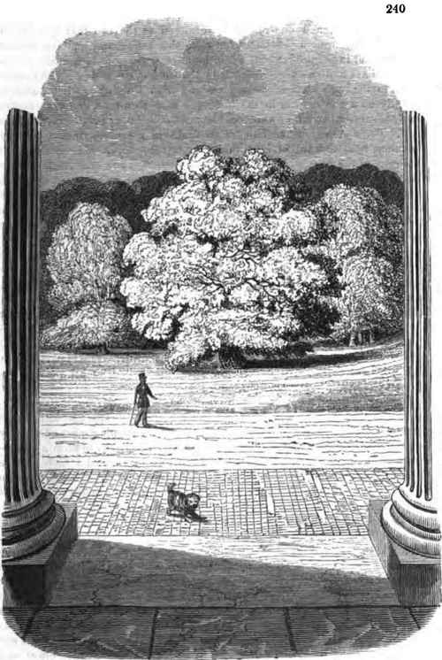 View from the Entrance Portico of Kenwood.