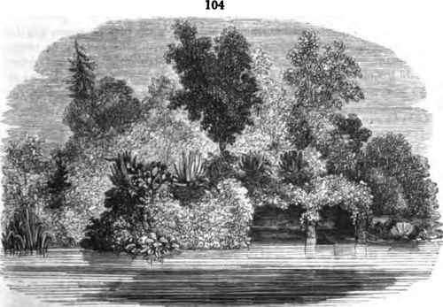 Water Continued 100