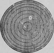 Communications Ribbon Beds 10